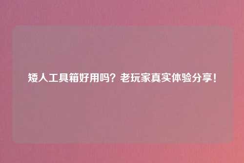 矮人工具箱好用吗？老玩家真实体验分享！