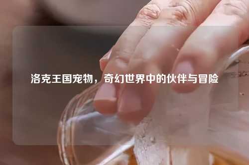 洛克王国宠物，奇幻世界中的伙伴与冒险