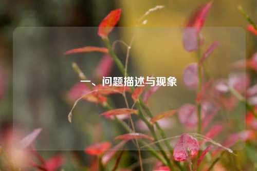 一、问题描述与现象