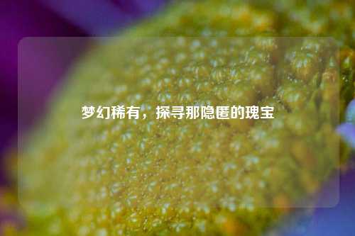 梦幻稀有，探寻那隐匿的瑰宝
