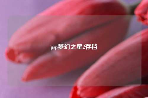 psp梦幻之星2存档