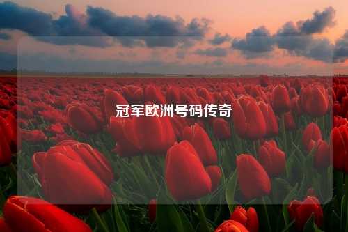 冠军欧洲号码传奇