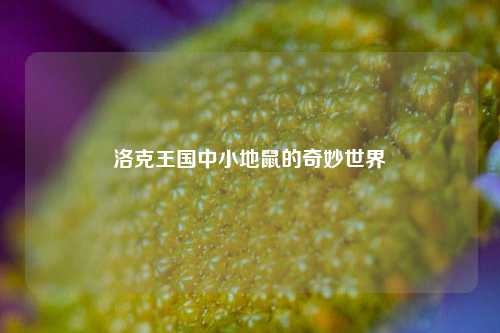 洛克王国中小地鼠的奇妙世界