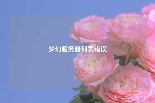 梦幻服务器列表错误