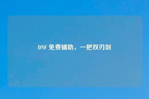 DNF 免费辅助，一把双刃剑