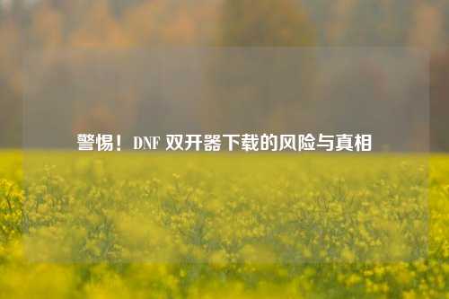 警惕！DNF 双开器下载的风险与真相