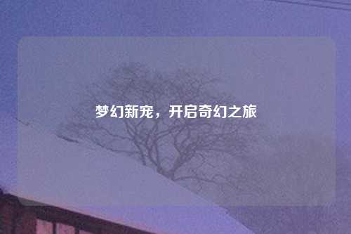 梦幻新宠，开启奇幻之旅