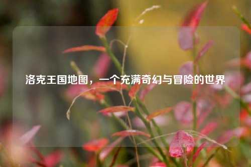 洛克王国地图，一个充满奇幻与冒险的世界