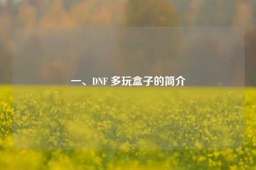 一、DNF 多玩盒子的简介