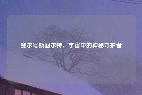 赛尔号斯图尔特，宇宙中的神秘守护者
