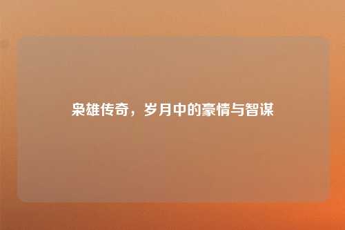 枭雄传奇，岁月中的豪情与智谋
