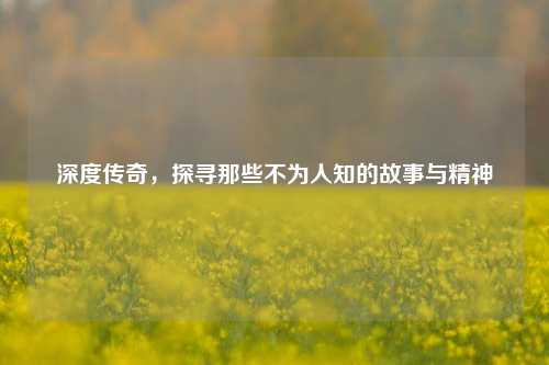 深度传奇，探寻那些不为人知的故事与精神