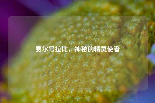 赛尔号拉比，神秘的精灵使者