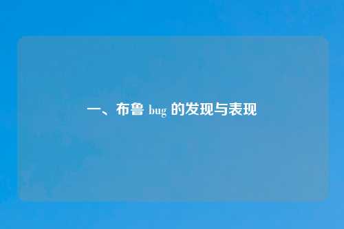 一、布鲁 bug 的发现与表现