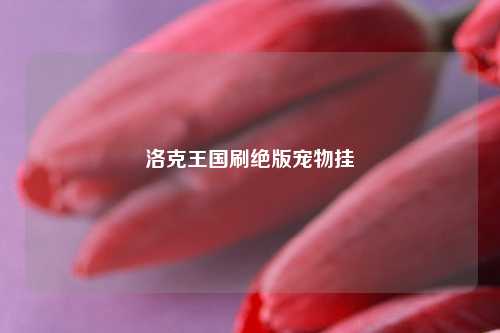 洛克王国刷绝版宠物挂