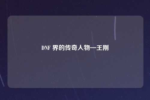 DNF 界的传奇人物—王刚