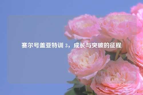 赛尔号盖亚特训 3，成长与突破的征程