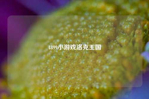 4399小游戏洛克王国