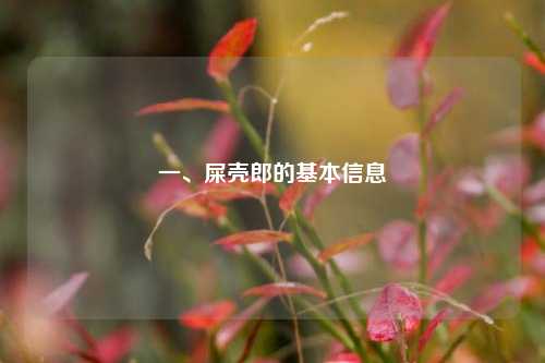 一、屎壳郎的基本信息