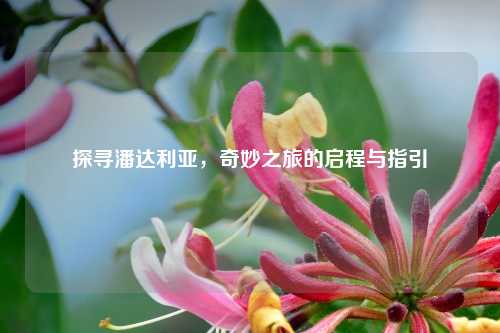 探寻潘达利亚，奇妙之旅的启程与指引