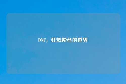 DNF，狂热粉丝的世界