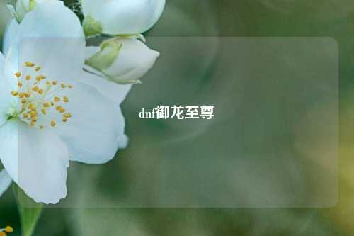 dnf御龙至尊
