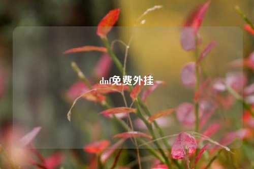 dnf免费外挂