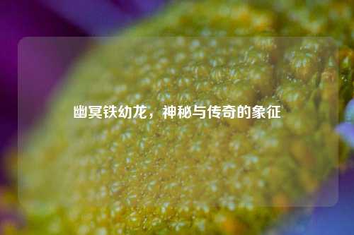 幽冥铁幼龙，神秘与传奇的象征