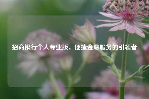 招商银行个人专业版，便捷金融服务的引领者