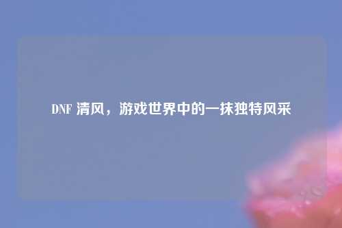 DNF 清风，游戏世界中的一抹独特风采