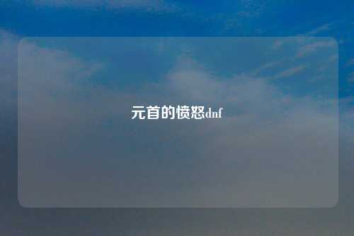 元首的愤怒dnf