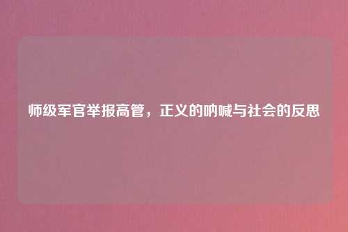 师级军官举报高管，正义的呐喊与社会的反思
