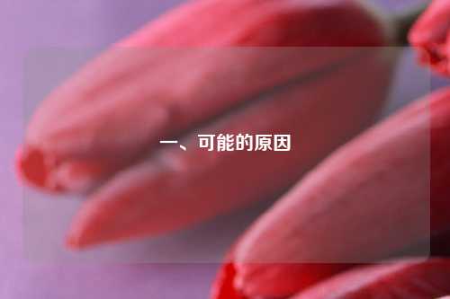 一、可能的原因