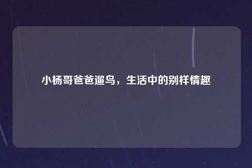 小杨哥爸爸遛鸟，生活中的别样情趣