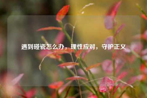 遇到碰瓷怎么办，理性应对，守护正义