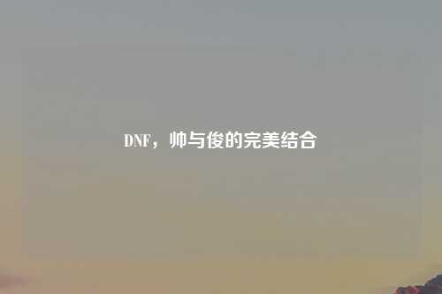 DNF，帅与俊的完美结合