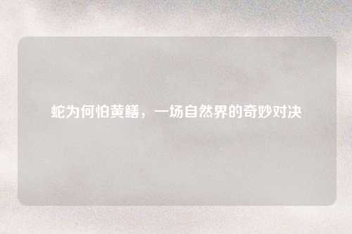 蛇为何怕黄鳝，一场自然界的奇妙对决