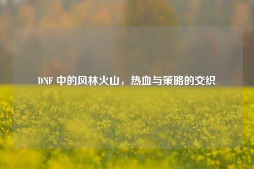 DNF 中的风林火山，热血与策略的交织