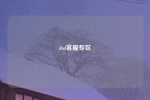dnf客服专区