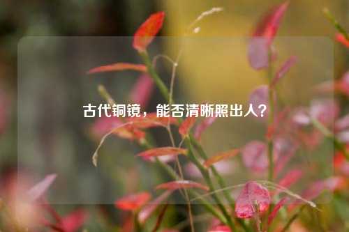 古代铜镜，能否清晰照出人？