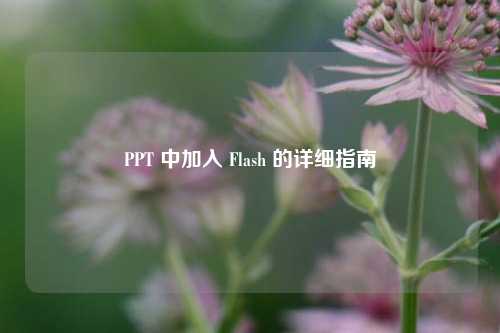 PPT 中加入 Flash 的详细指南