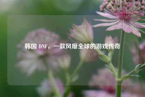 韩国 DNF，一款风靡全球的游戏传奇