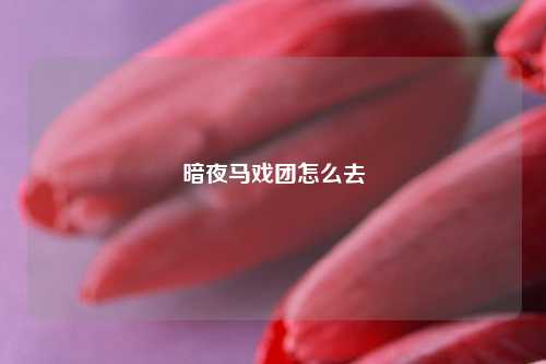 暗夜马戏团怎么去
