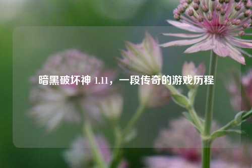 暗黑破坏神 1.11，一段传奇的游戏历程