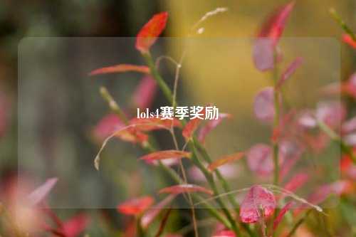 lols4赛季奖励