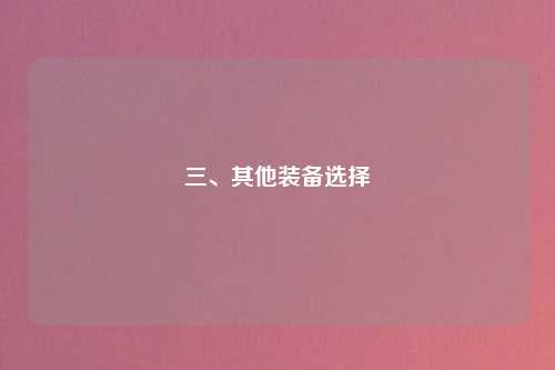 三、其他装备选择