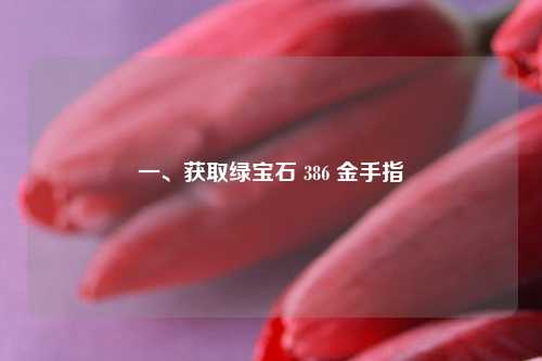 一、获取绿宝石 386 金手指