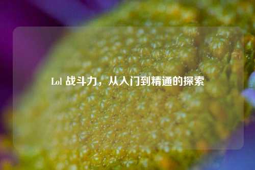 Lol 战斗力，从入门到精通的探索