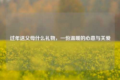 过年送父母什么礼物，一份温暖的心意与关爱