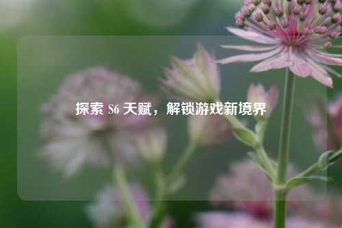 探索 S6 天赋，解锁游戏新境界